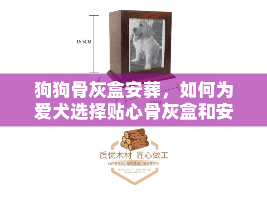 狗狗骨灰盒安葬，如何为爱犬选择贴心骨灰盒和安葬服务？