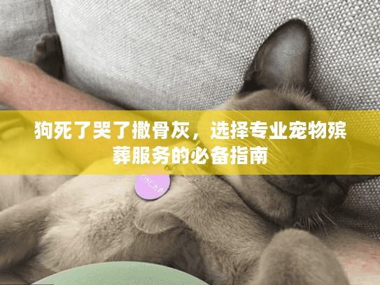 狗死了哭了撒骨灰，选择专业宠物殡葬服务的必备指南