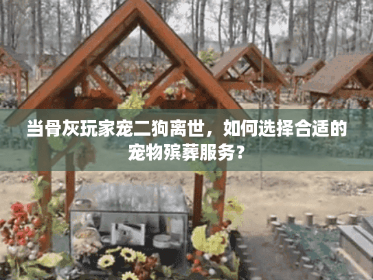 当骨灰玩家宠二狗离世，如何选择合适的宠物殡葬服务？