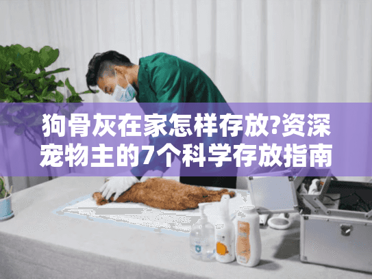 狗骨灰在家怎样存放?资深宠物主的7个科学存放指南