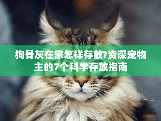 狗骨灰在家怎样存放?资深宠物主的7个科学存放指南