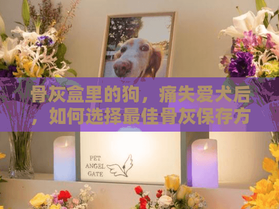 骨灰盒里的狗，痛失爱犬后，如何选择最佳骨灰保存方案？专业指南