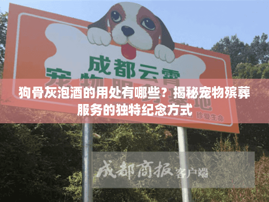 狗骨灰泡酒的用处有哪些？揭秘宠物殡葬服务的独特纪念方式