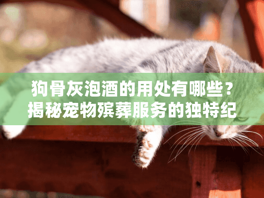 狗骨灰泡酒的用处有哪些？揭秘宠物殡葬服务的独特纪念方式