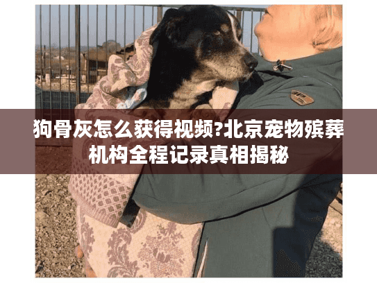 狗骨灰怎么获得视频?北京宠物殡葬机构全程记录真相揭秘