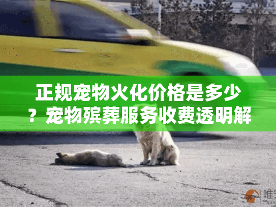 正规宠物火化价格是多少？宠物殡葬服务收费透明解析