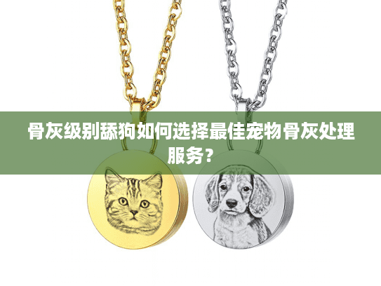 骨灰级别舔狗如何选择最佳宠物骨灰处理服务？