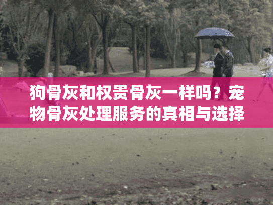 狗骨灰和权贵骨灰一样吗？宠物骨灰处理服务的真相与选择
