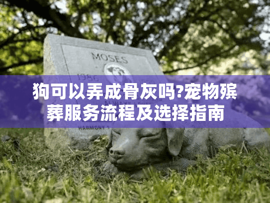 狗可以弄成骨灰吗?宠物殡葬服务流程及选择指南