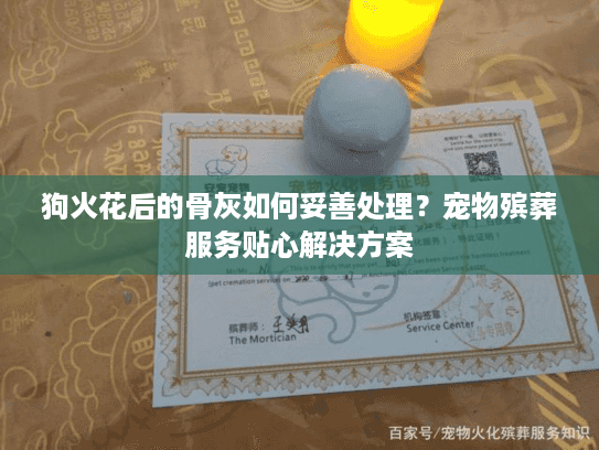 狗火花后的骨灰如何妥善处理？宠物殡葬服务贴心解决方案