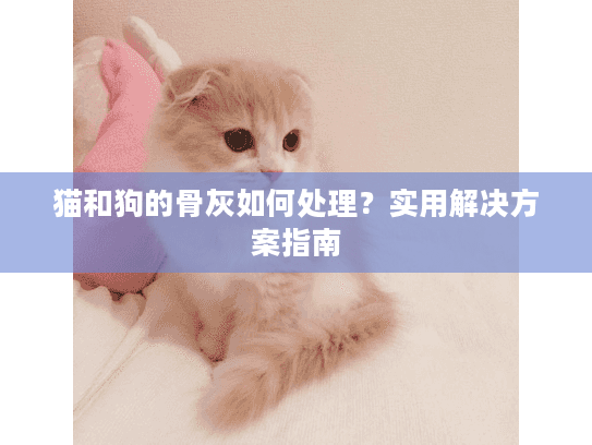 猫和狗的骨灰如何处理？实用解决方案指南
