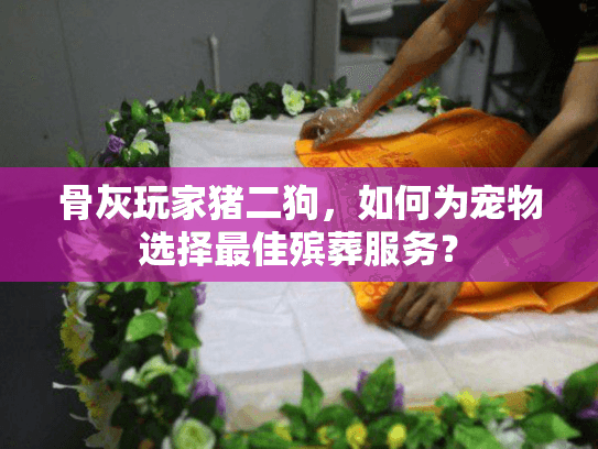 骨灰玩家猪二狗，如何为宠物选择最佳殡葬服务？