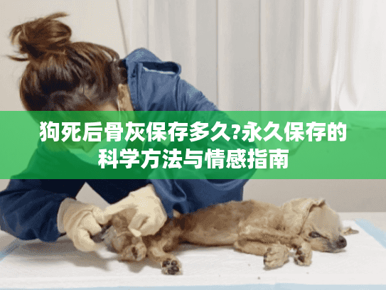 狗死后骨灰保存多久?永久保存的科学方法与情感指南
