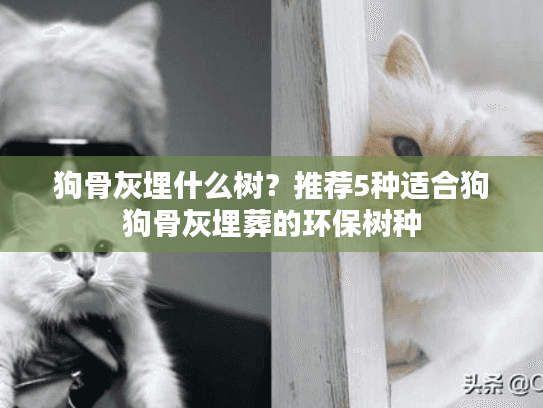 狗骨灰埋什么树？推荐5种适合狗狗骨灰埋葬的环保树种