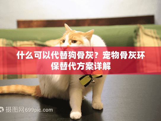 什么可以代替狗骨灰？宠物骨灰环保替代方案详解