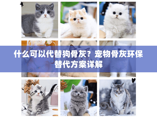 什么可以代替狗骨灰？宠物骨灰环保替代方案详解