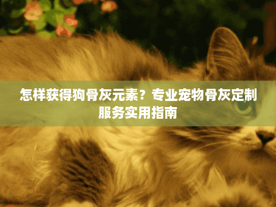 怎样获得狗骨灰元素？专业宠物骨灰定制服务实用指南