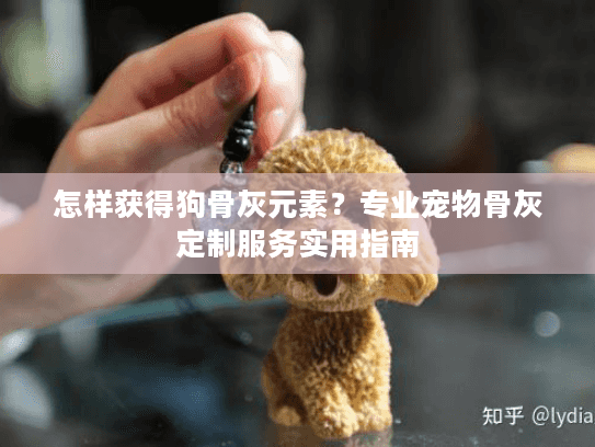 怎样获得狗骨灰元素？专业宠物骨灰定制服务实用指南