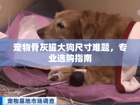 宠物骨灰罐大狗尺寸难题，专业选购指南