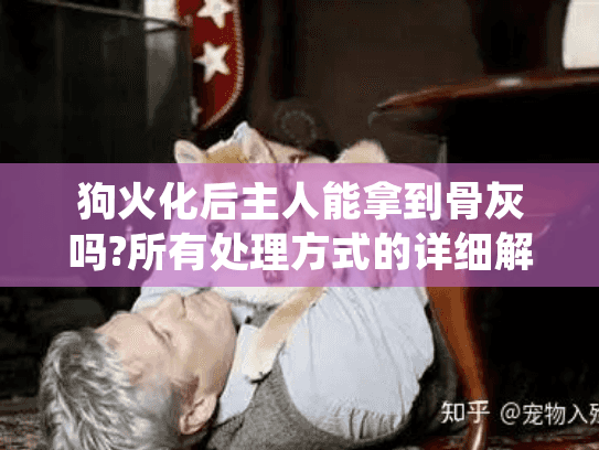 狗火化后主人能拿到骨灰吗?所有处理方式的详细解答