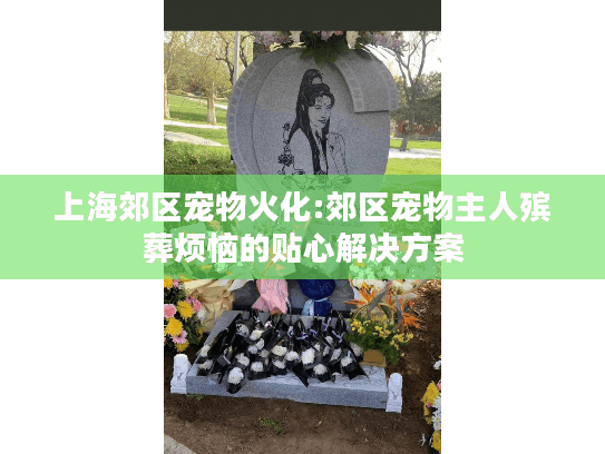 上海郊区宠物火化:郊区宠物主人殡葬烦恼的贴心解决方案
