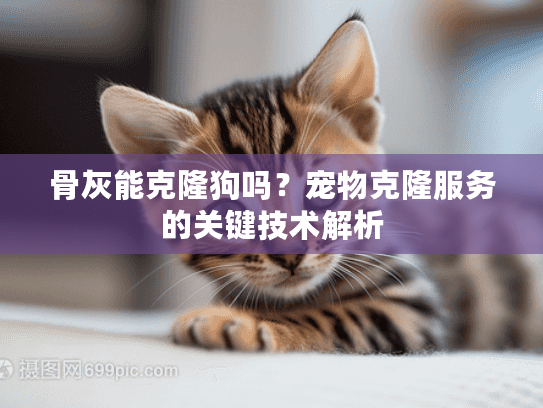 骨灰能克隆狗吗？宠物克隆服务的关键技术解析