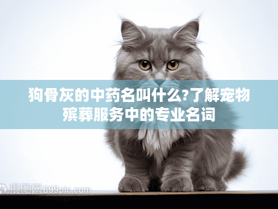 狗骨灰的中药名叫什么?了解宠物殡葬服务中的专业名词