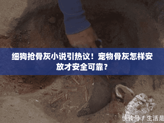 细狗抢骨灰小说引热议！宠物骨灰怎样安放才安全可靠？