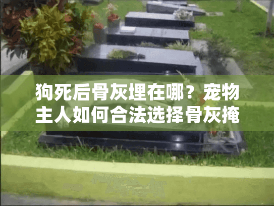 狗死后骨灰埋在哪？宠物主人如何合法选择骨灰掩埋地点指南