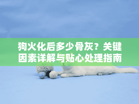 狗火化后多少骨灰？关键因素详解与贴心处理指南