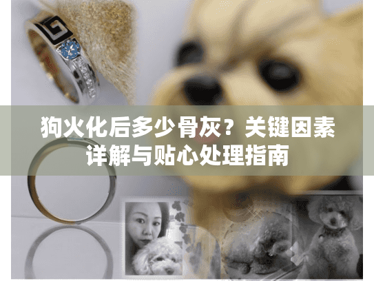 狗火化后多少骨灰？关键因素详解与贴心处理指南