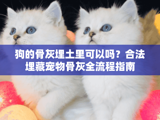 狗的骨灰埋土里可以吗？合法埋藏宠物骨灰全流程指南