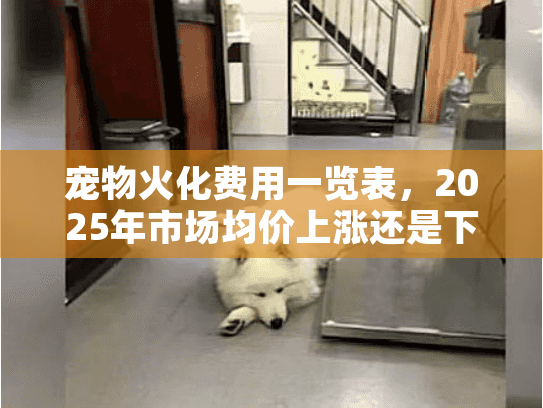 宠物火化费用一览表，2025年市场均价上涨还是下降？