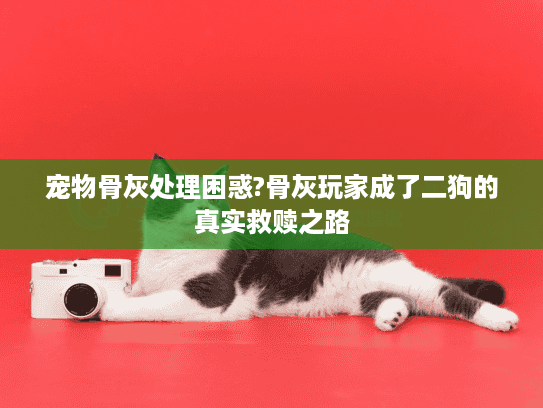 宠物骨灰处理困惑?骨灰玩家成了二狗的真实救赎之路