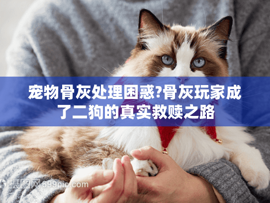 宠物骨灰处理困惑?骨灰玩家成了二狗的真实救赎之路