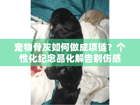 宠物骨灰如何做成项链？个性化纪念品化解告别伤感
