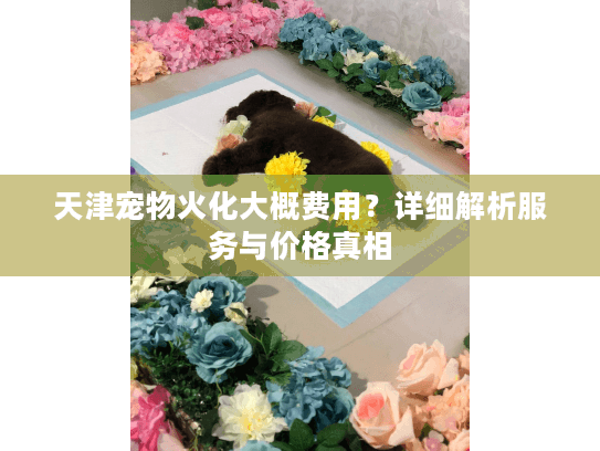 天津宠物火化大概费用？详细解析服务与价格真相