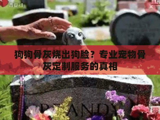 狗狗骨灰烧出狗脸？专业宠物骨灰定制服务的真相