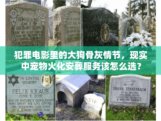 犯罪电影里的大狗骨灰情节，现实中宠物火化安葬服务该怎么选？