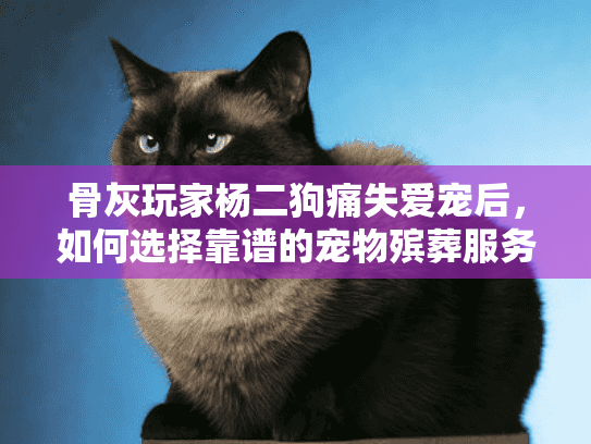 骨灰玩家杨二狗痛失爱宠后，如何选择靠谱的宠物殡葬服务？
