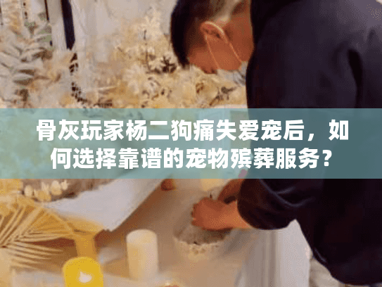 骨灰玩家杨二狗痛失爱宠后，如何选择靠谱的宠物殡葬服务？