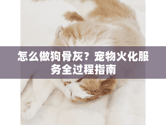 怎么做狗骨灰？宠物火化服务全过程指南