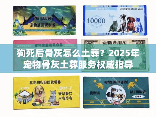 狗死后骨灰怎么土葬？2025年宠物骨灰土葬服务权威指导
