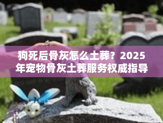 狗死后骨灰怎么土葬？2025年宠物骨灰土葬服务权威指导