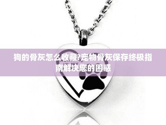 狗的骨灰怎么收藏?宠物骨灰保存终极指南解决您的困惑