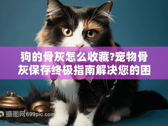 狗的骨灰怎么收藏?宠物骨灰保存终极指南解决您的困惑