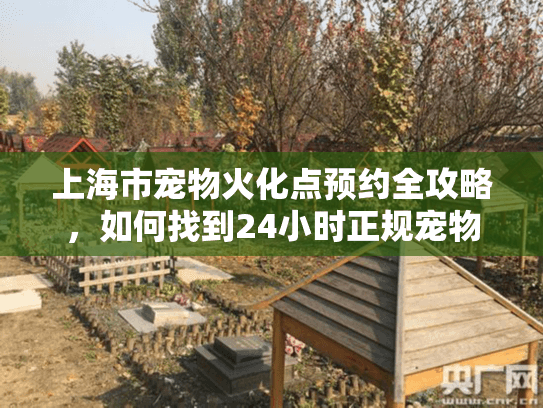 上海市宠物火化点预约全攻略，如何找到24小时正规宠物殡葬机构