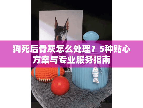 狗死后骨灰怎么处理？5种贴心方案与专业服务指南