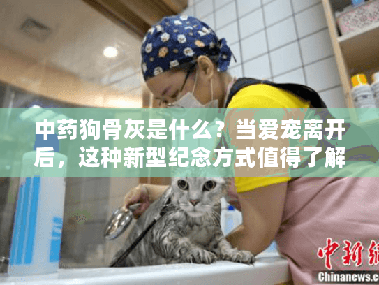 中药狗骨灰是什么？当爱宠离开后，这种新型纪念方式值得了解吗