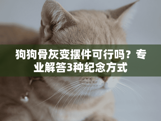 狗狗骨灰变摆件可行吗？专业解答3种纪念方式